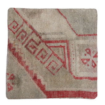 ZP212 Rug Pillow 20x20