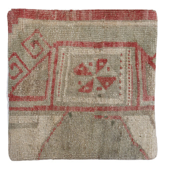 ZP215 Rug Pillow 20x20