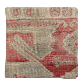 ZP218 Rug Pillow 20x20