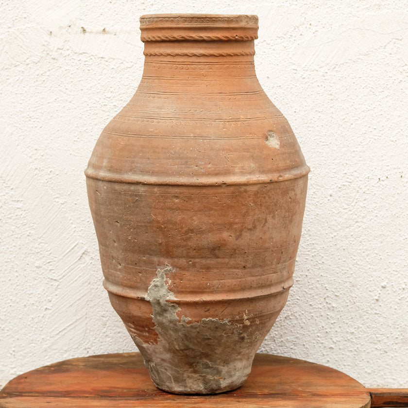 Olive Jar 129 (24x46)