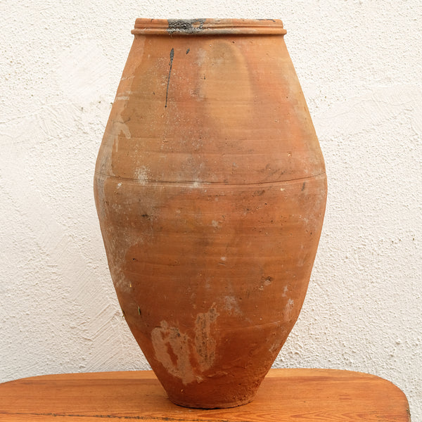 Olive Jar 142 (26x50)