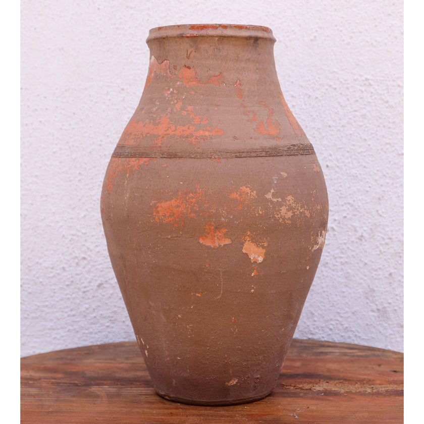 Olive Jar 146 (10x31)