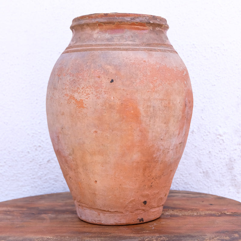Olive Jar 153 (16x36)