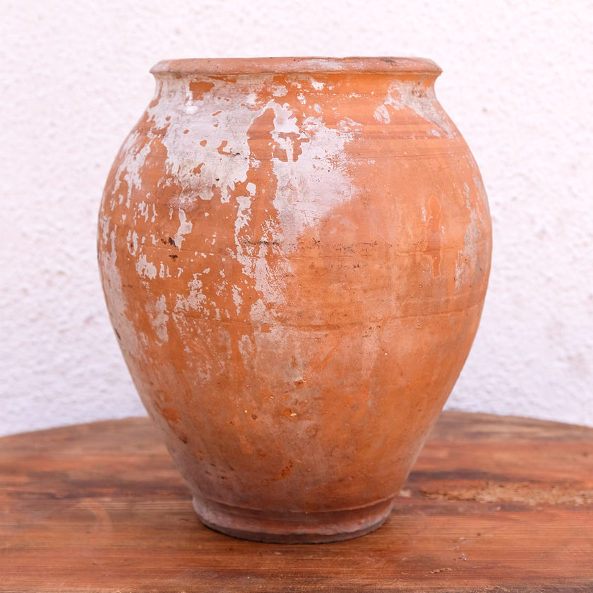 Olive Jar 156 (11x29)