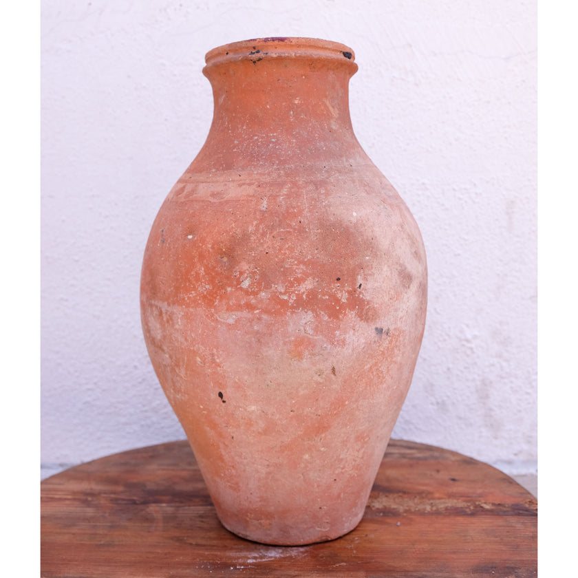 Olive Jar 182 (19x38)