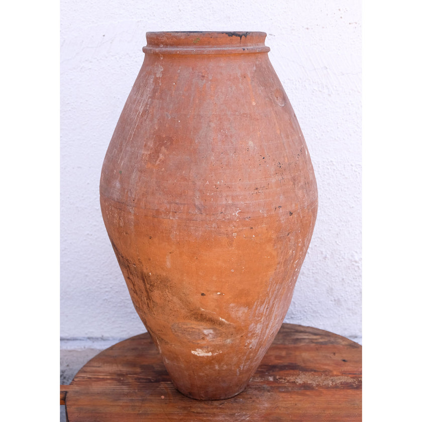 Olive Jar 200 (25x47)