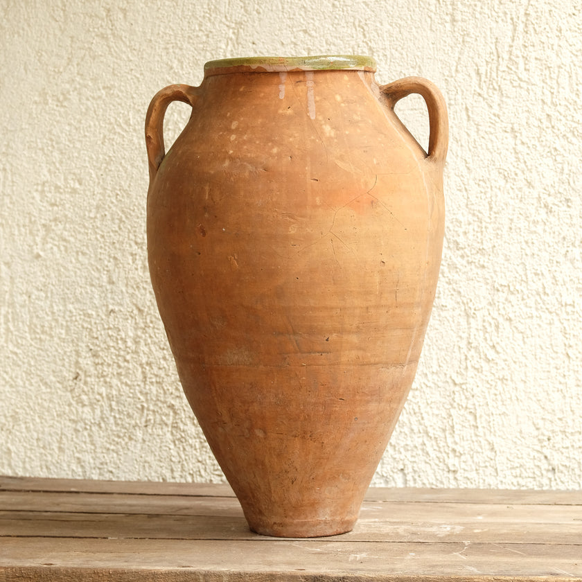 Olive Jar N24 (20x39)