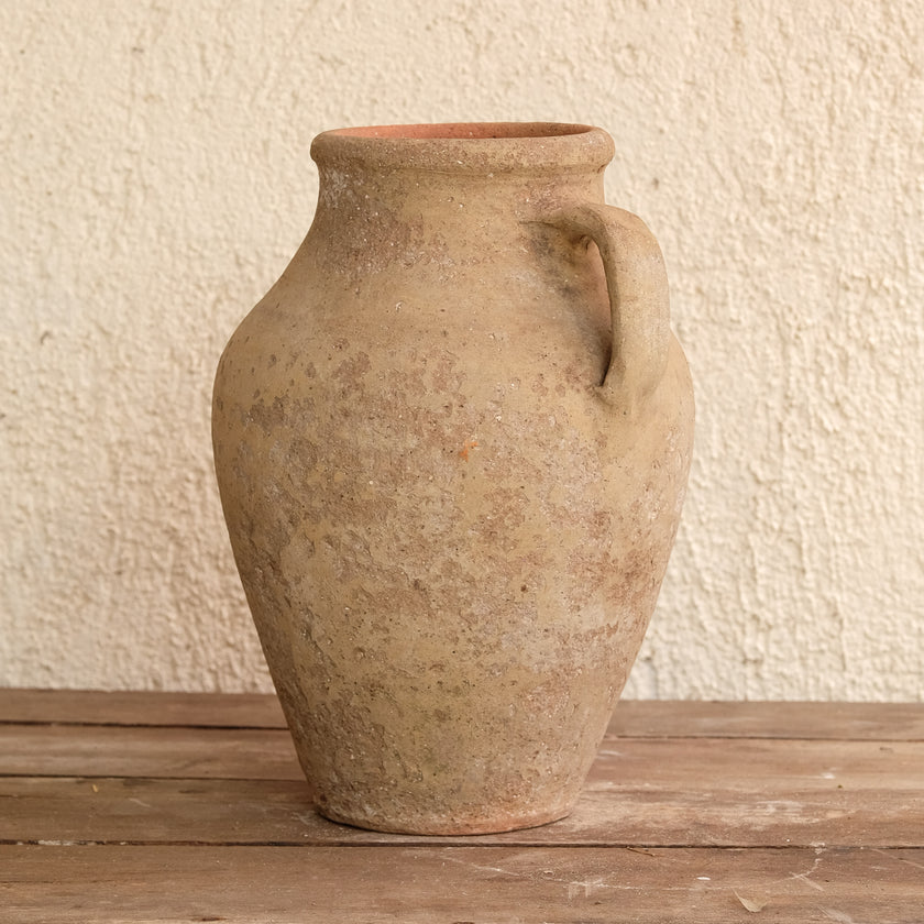 Olive Jar N44 (14x29)