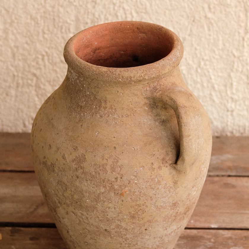 Olive Jar N44 (14x29)