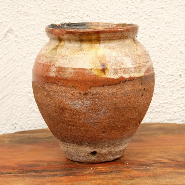 Olive Jar 85 (8x24)