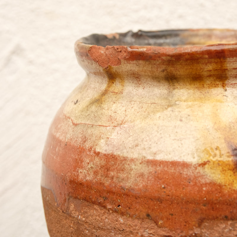 Olive Jar 85 (8x24)