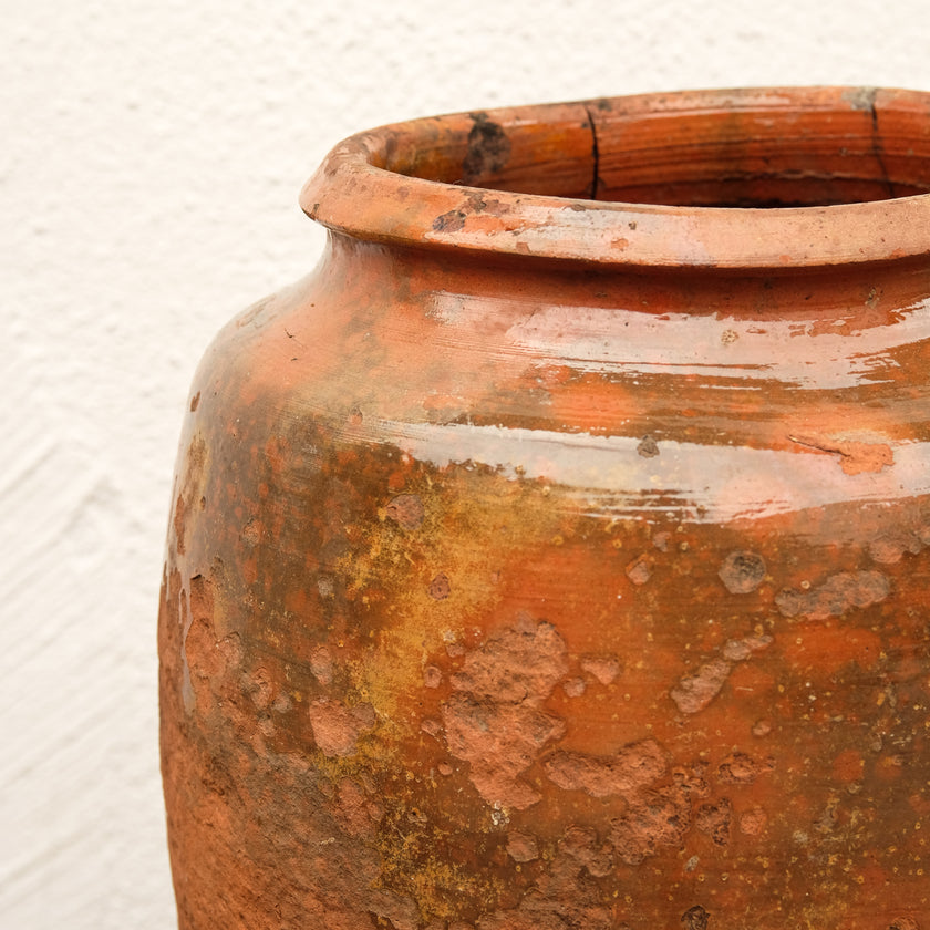 Olive Jar 86 (14x32)